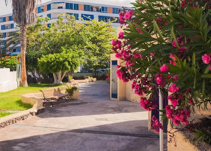 El Cortijo 아파트 *