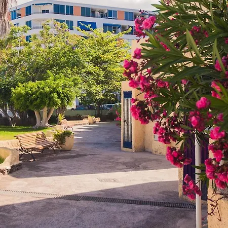 El Cortijo Appartement *