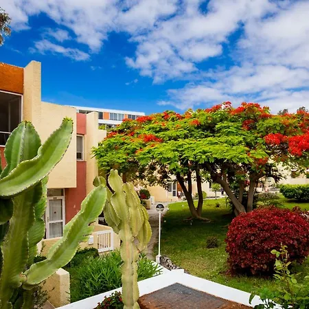 아파트 El Cortijo